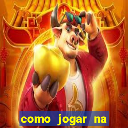 como jogar na teimosinha da lotofacil