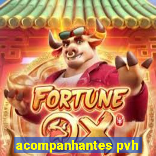 acompanhantes pvh