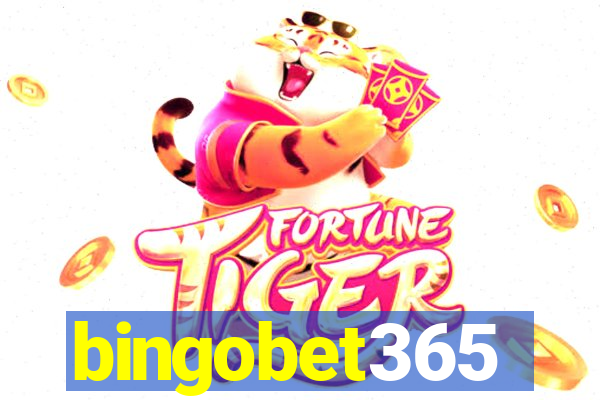 bingobet365