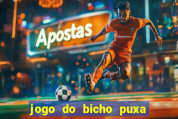 jogo do bicho puxa de dona maria