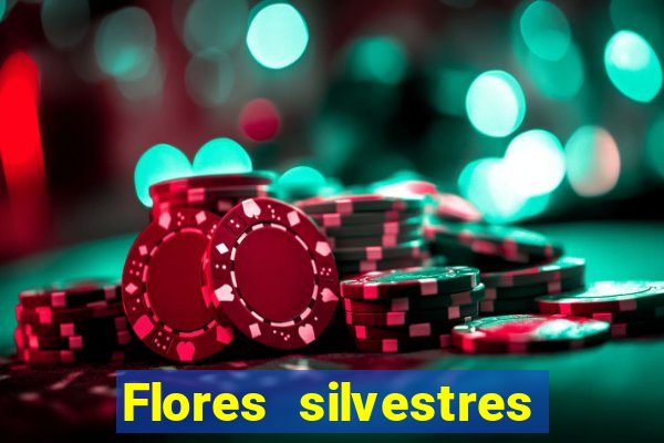 Flores silvestres brasileiras brasileiras flores silvestres nomes e imagens