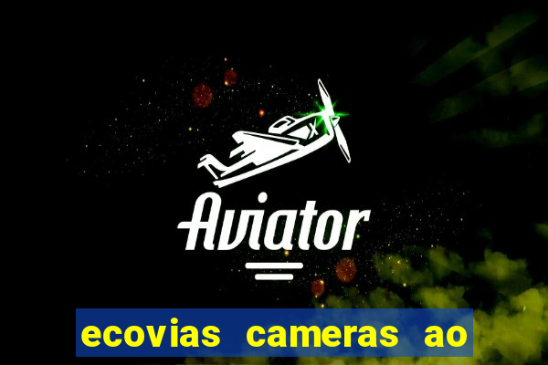 ecovias cameras ao vivo santos