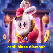 canil blaze diamond