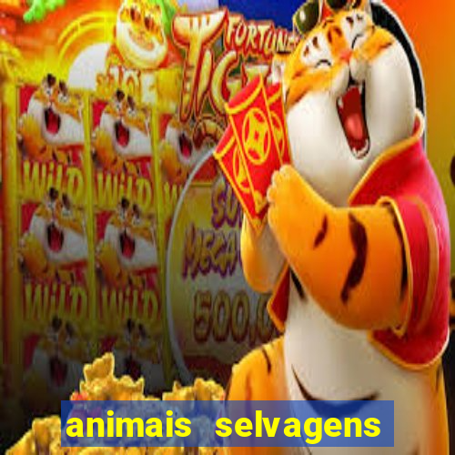 animais selvagens fotos e nomes