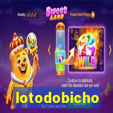 lotodobicho