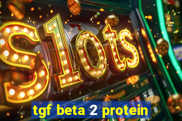 tgf beta 2 protein