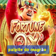 palpite do magrão