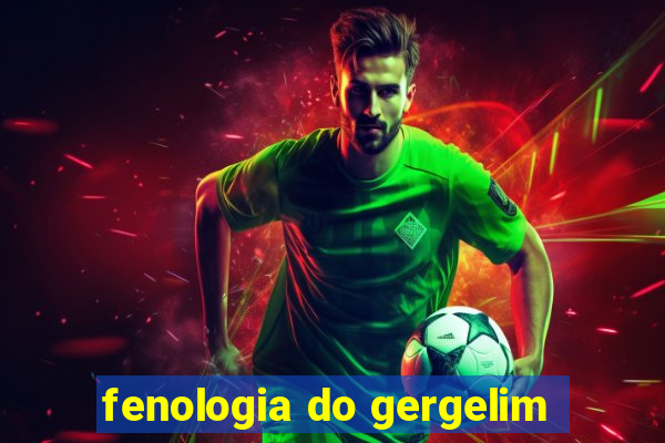 fenologia do gergelim